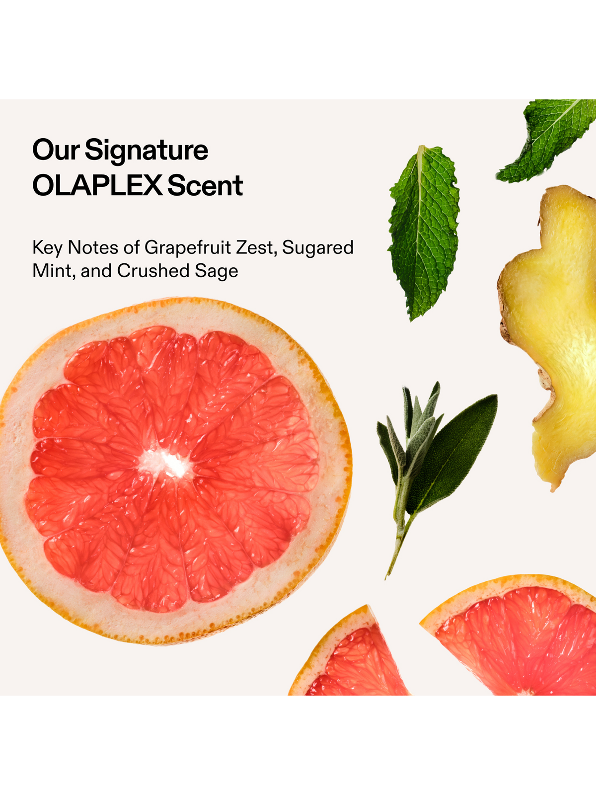 Olaplex No. 4C Bond Maintenance® Clarifying Shampoo