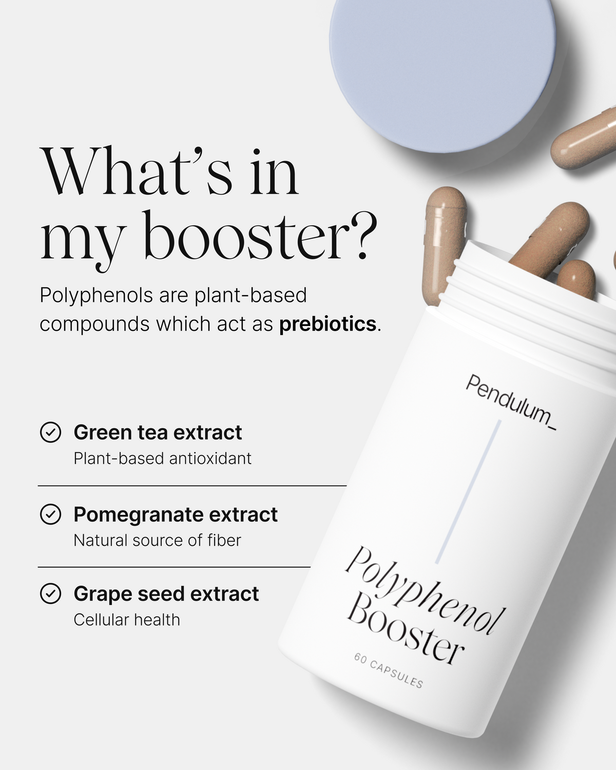 Pendulum Polyphenol Booster (Collective)