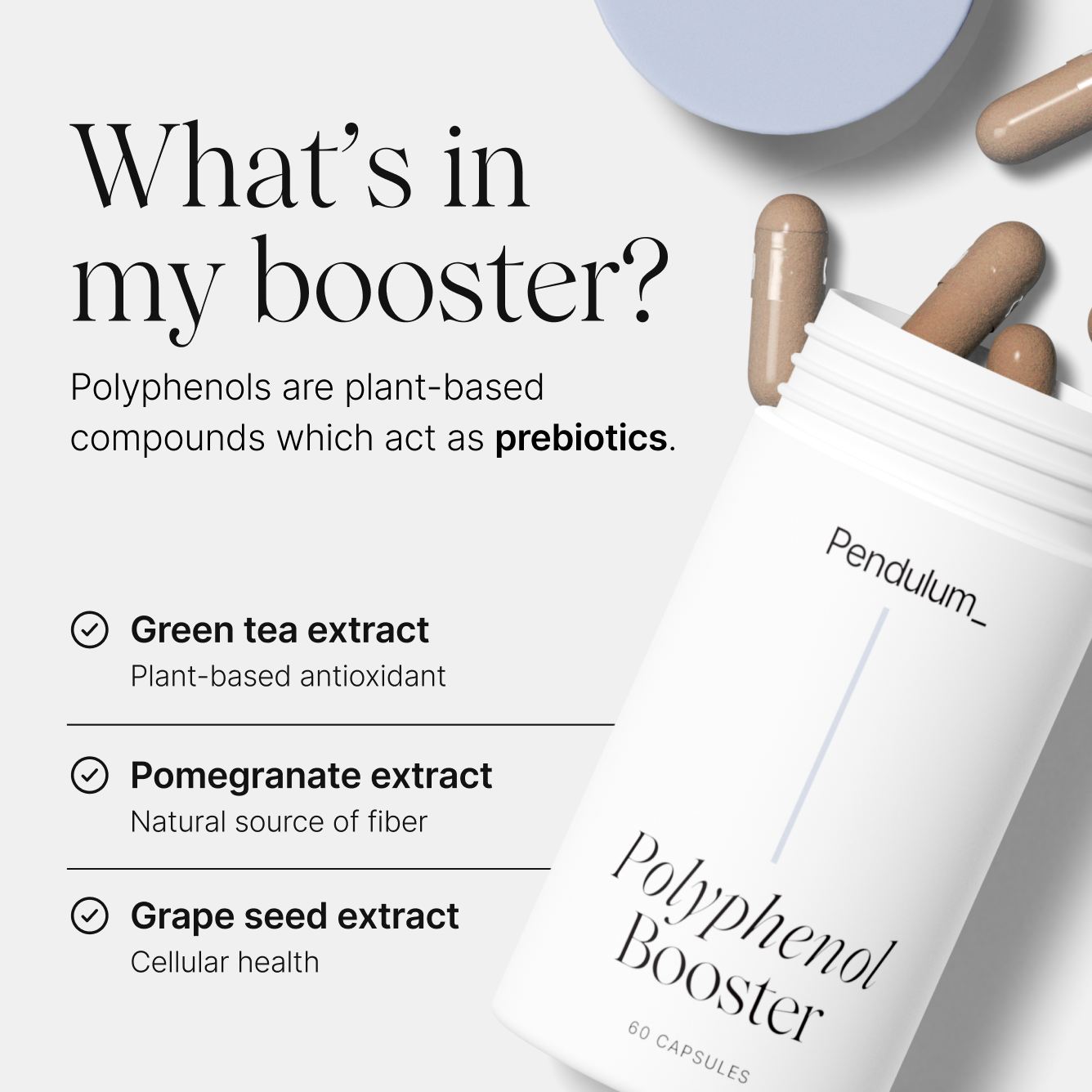Pendulum Polyphenol Booster (Equinox)