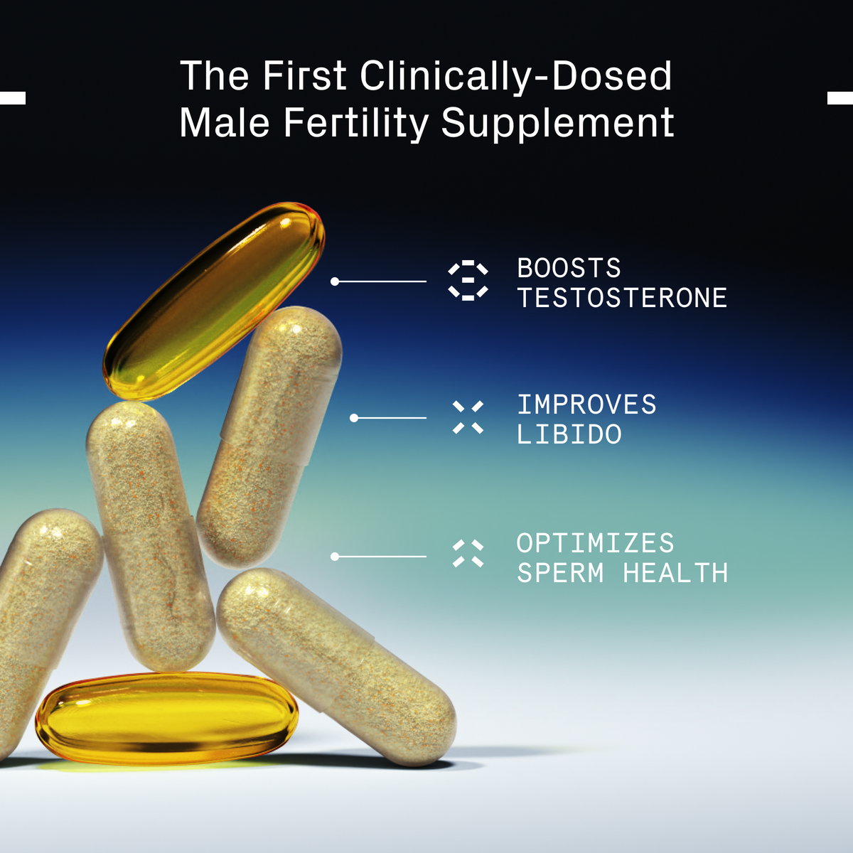 SwimClub Male Fertility Supplement